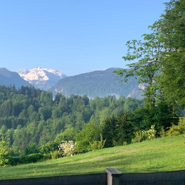 Alpenvilla Berchtesgaden Appartements - Apartment mit 1 Schlafzimmer - 2