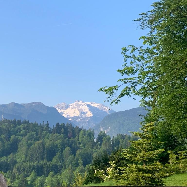Alpenvilla Berchtesgaden Appartements - Apartment mit 1 Schlafzimmer - 13