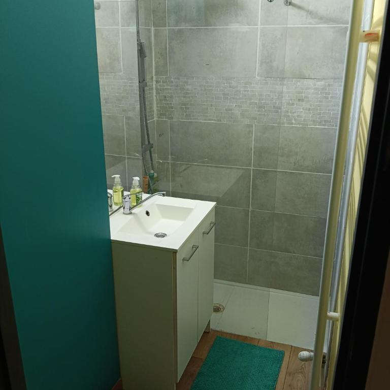 Loft EDF CEA DTG UFPI SCHNEIDER - Appartement 2 Chambres - 7