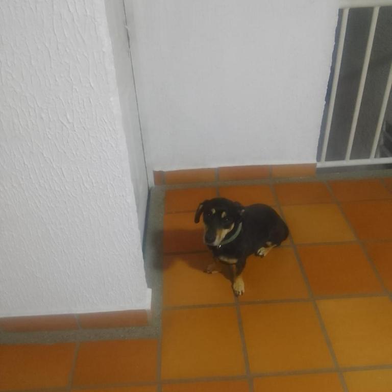 Rigoberto Ortegon - Apartamento de 1 dormitorio - 2