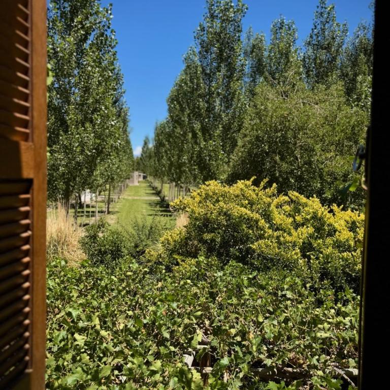Cabañas El Viejo Carreton - Apartamento de 2 dormitorios - 18