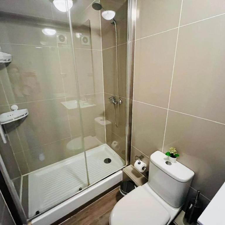 Downtown apartment-WiFi-Pets welcome - One-Bedroom Apartment - 4