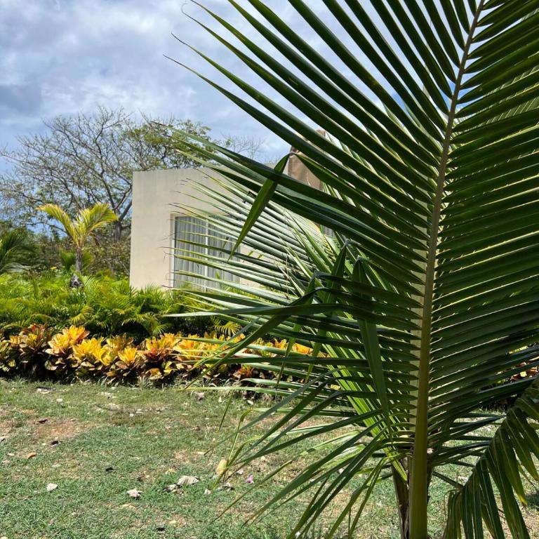 Sol del Este Luxury by SH - Villa con piscina privada - 28