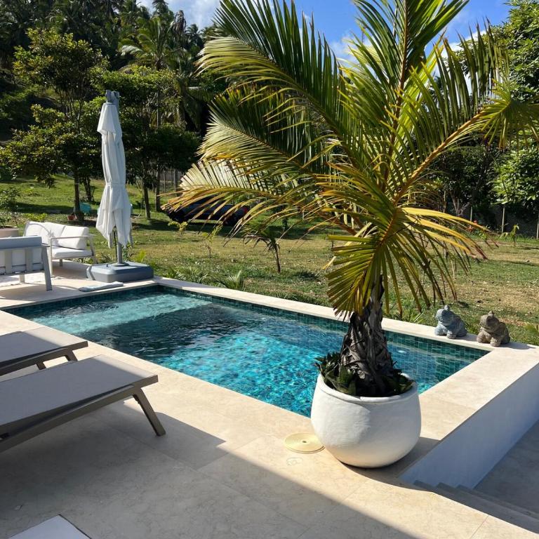 Sol del Este Luxury by SH - Villa con piscina privada - 40