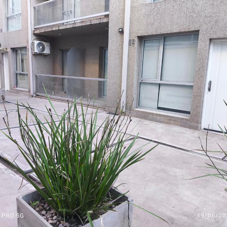 Departamentos Solares - Lavalle - Apartamento de 1 dormitorio - 1