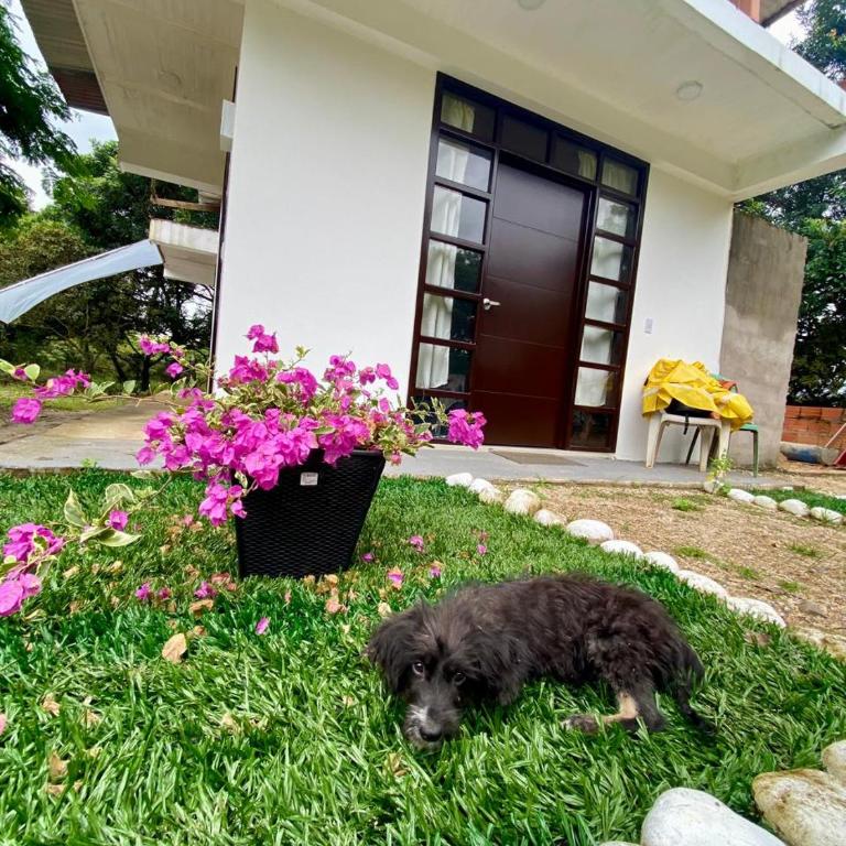 Hotel Otium rural - Habitación Doble - 2 camas - 4