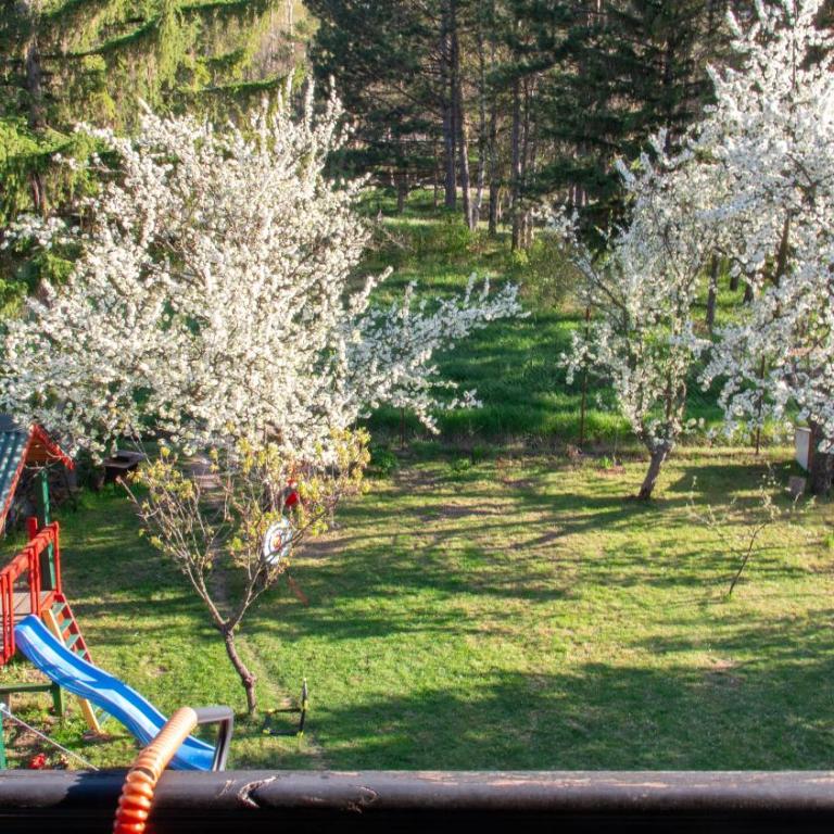 Apartmani Stanojevic Sokobanja - Apartman sa Pogledom na Planinu - 8
