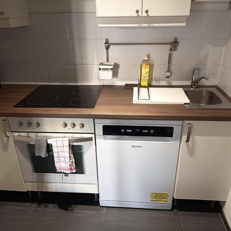 1 Bedroom with large Sunny Balcony - Apartment mit 1 Schlafzimmer - 8