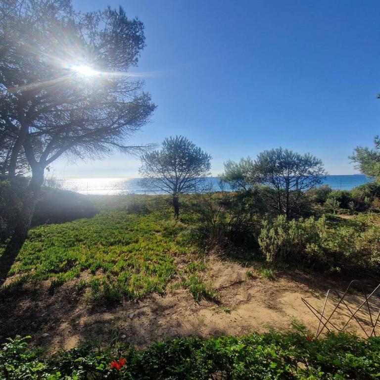 Villa en bord de plage - 6 pers. - FR-1-100-370 - Casa - 2