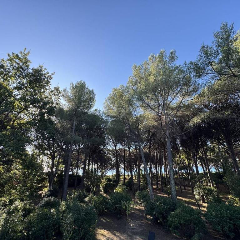 Villa en bord de plage - 6 pers. - FR-1-100-370 - Casa - 18