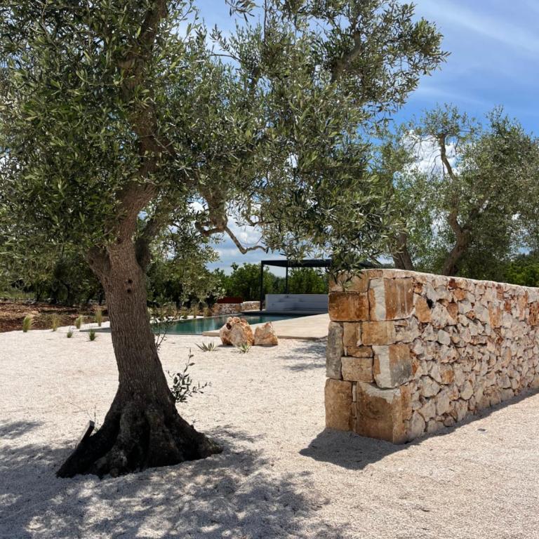 Casa La Saracena - Villa de 3 dormitorios - 6