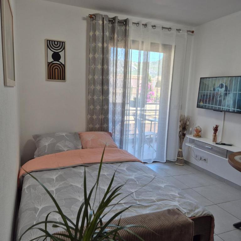 Charmant T2 - Appartement 2 Chambres - 4