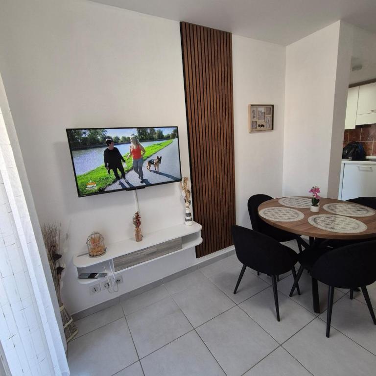 Charmant T2 - Appartement 2 Chambres - 29