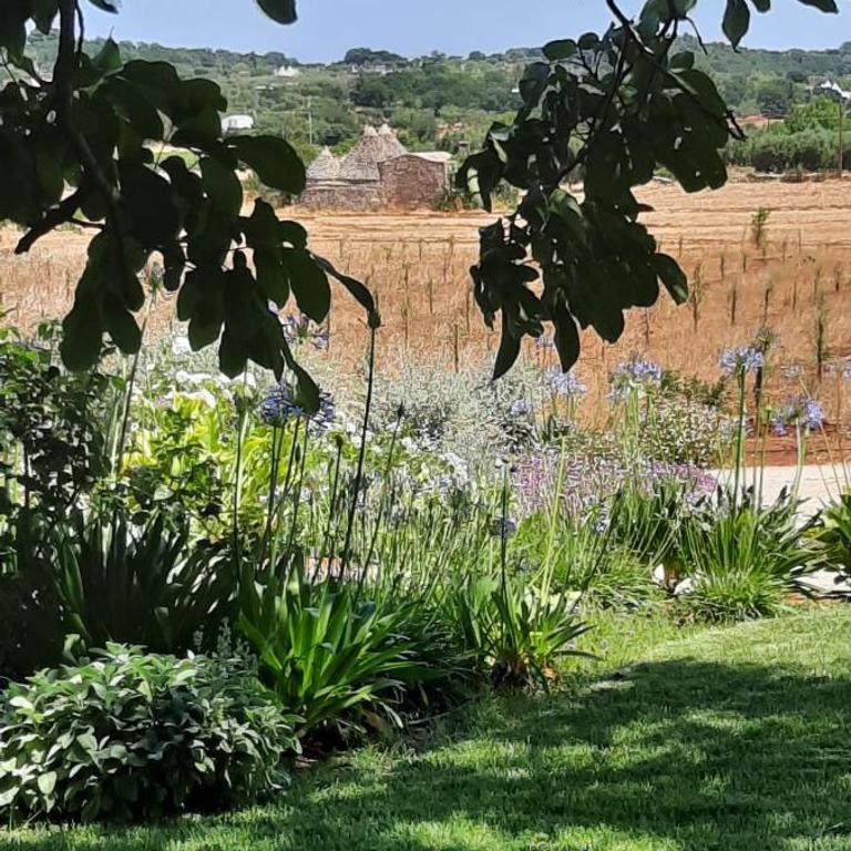 Trulli Otto Cappelli - Exclusive Trulli - Villa mit privatem Pool - 74