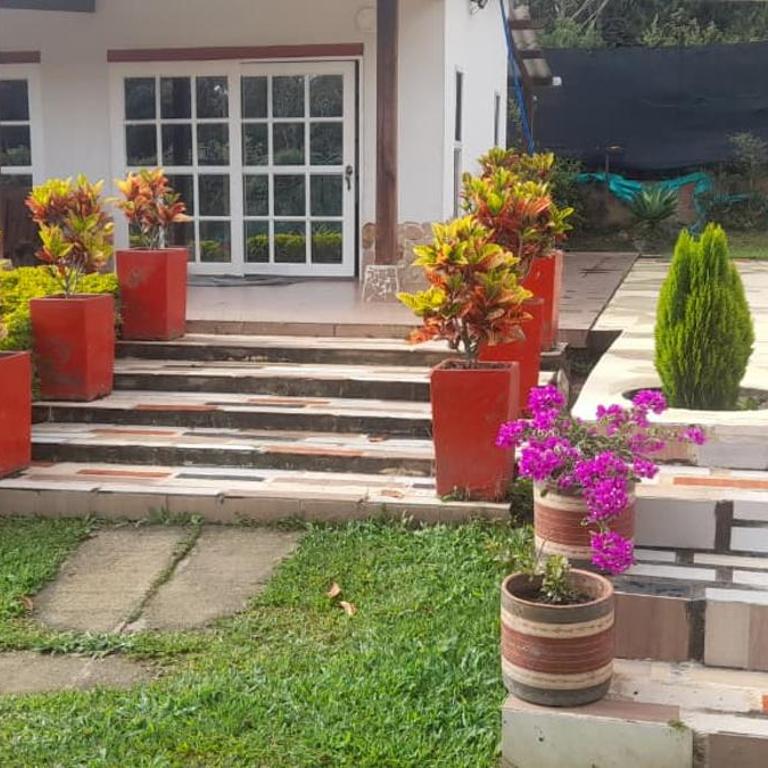 Finca villa vallery , tocota - Casa de 5 dormitorios - 42
