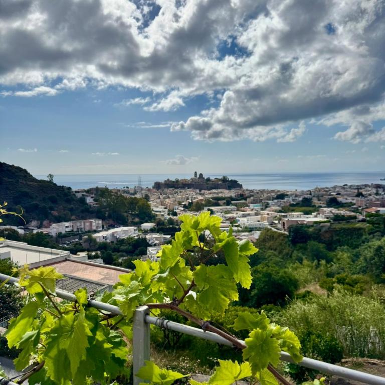 Holiday Home Tarinuzza - Appartamento con Terrazza - 32
