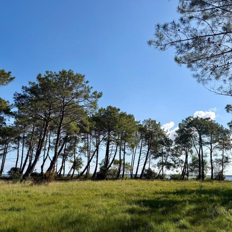 Le secret du Lac - 12p - Acces Lac à pieds - Casa de 5 dormitorios - 14