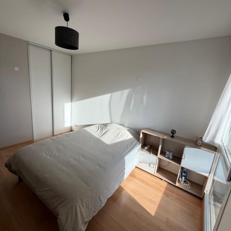 Annecy Courrier Hyper centre - Apartment mit 1 Schlafzimmer - 6