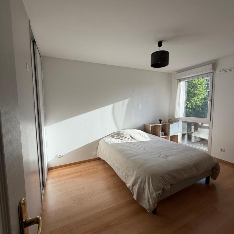 Annecy Courrier Hyper centre - Apartment mit 1 Schlafzimmer - 8