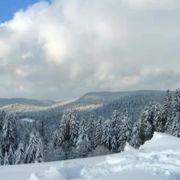 Peaceful stay in Gérardmer close to activities - Appartement - 58