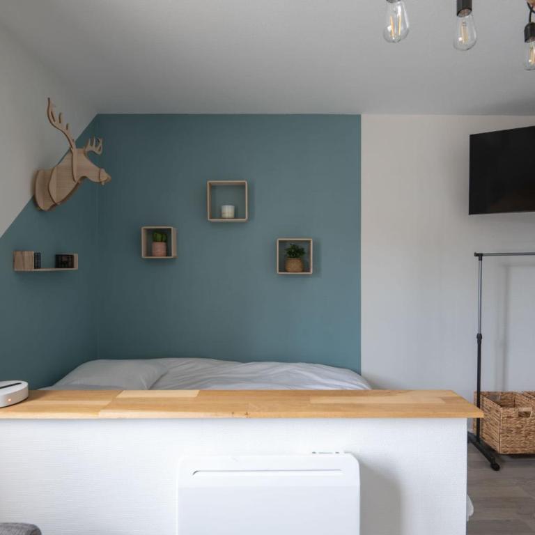 Pretty ski nest in the city center - Appartement - 6