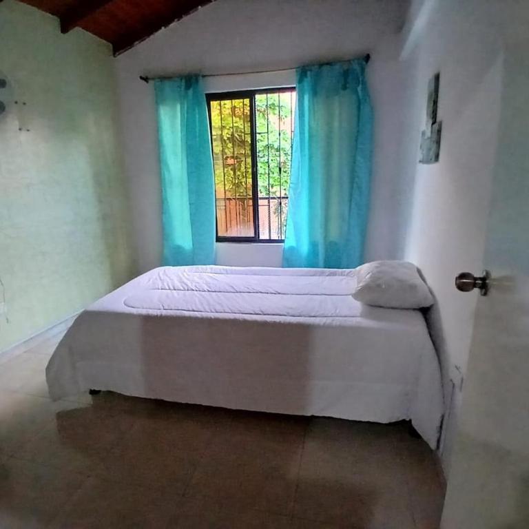Spacious and cozy house in northern Cali - One-Bedroom Apartment - 6