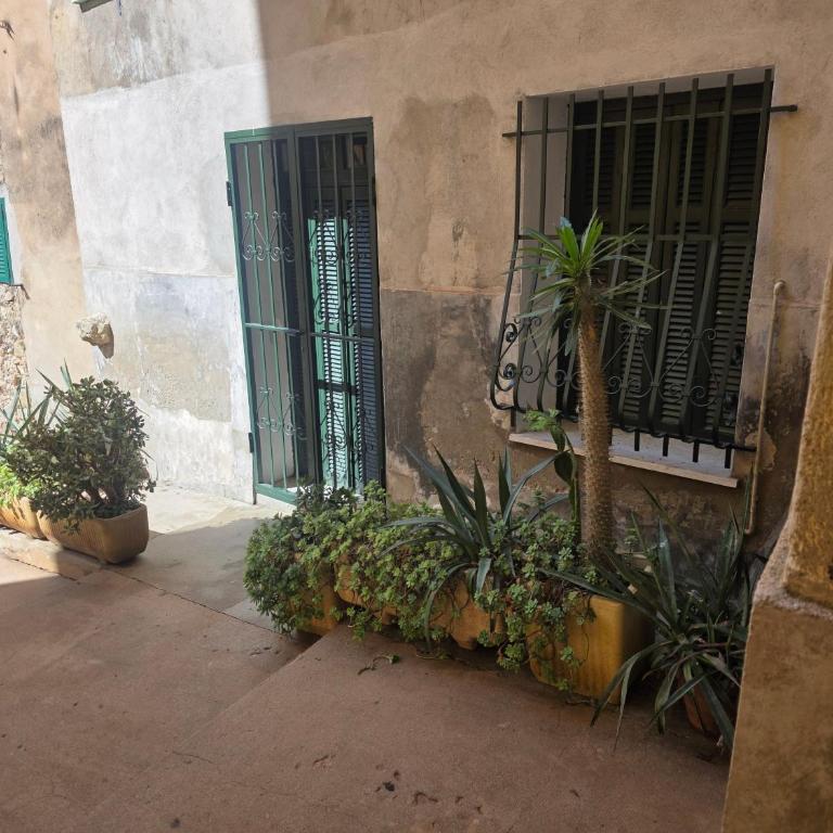 Le Soléna appartement climatisé au rez-de-chaussée dans le Vieux Menton - Appartement - Rez-de-Chaussée - 2