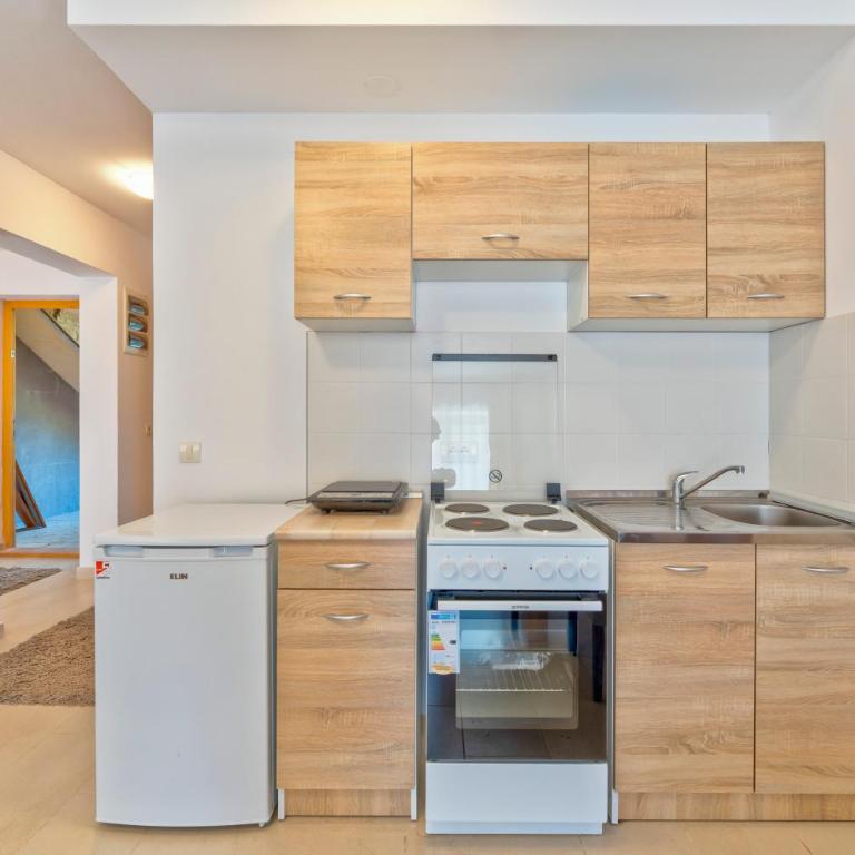 Apartman Ema Zlatibor - Apartment mit 1 Schlafzimmer - 22