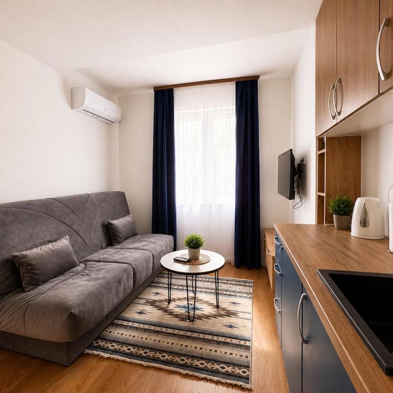 Apartment San Sarajevo Old Town - One-Bedroom Apartment - 6