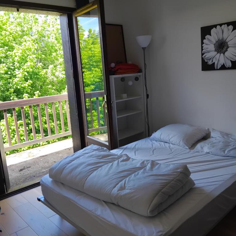 Appartement près du centre - Appartement 1 Chambre - 2