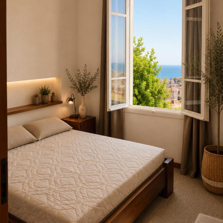 Vue panoramique sur Monaco , À 5 min de Monaco - Apartment mit 3 Schlafzimmern - 16