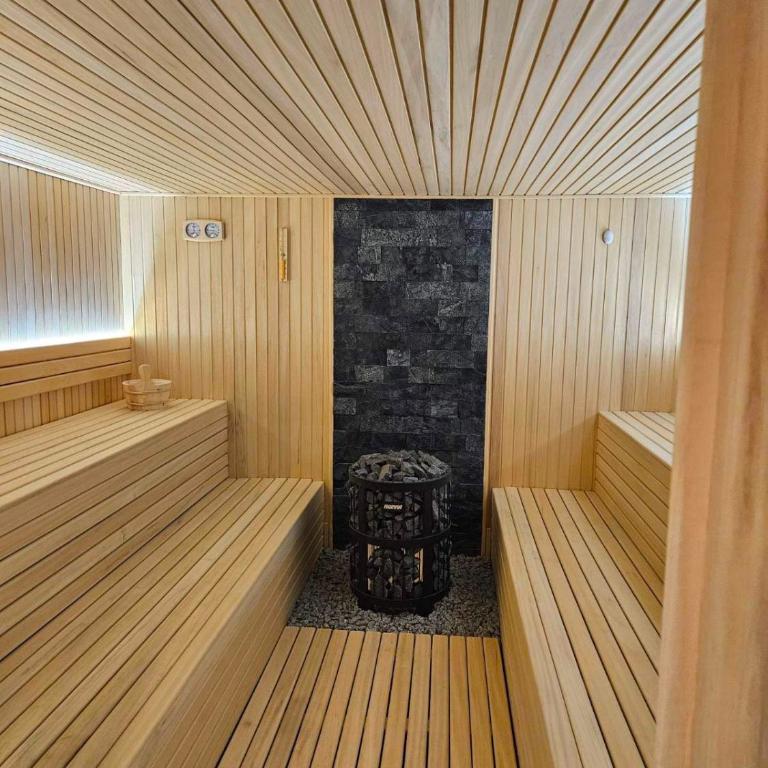 Kopaonik Spa Retreat - Apartment - 15