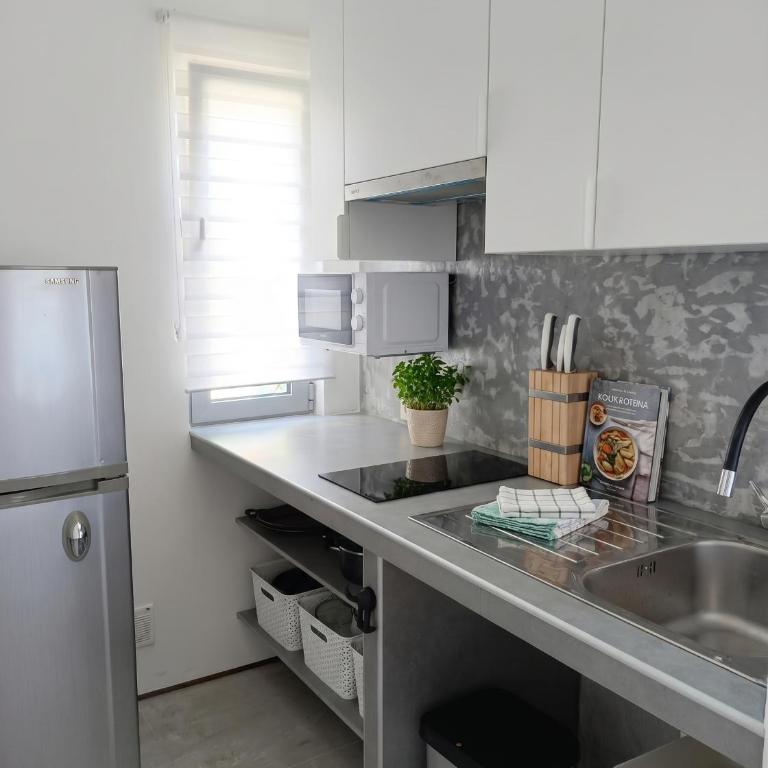 Markovići One-Bedroom Apartment - One-Bedroom Apartment - 2