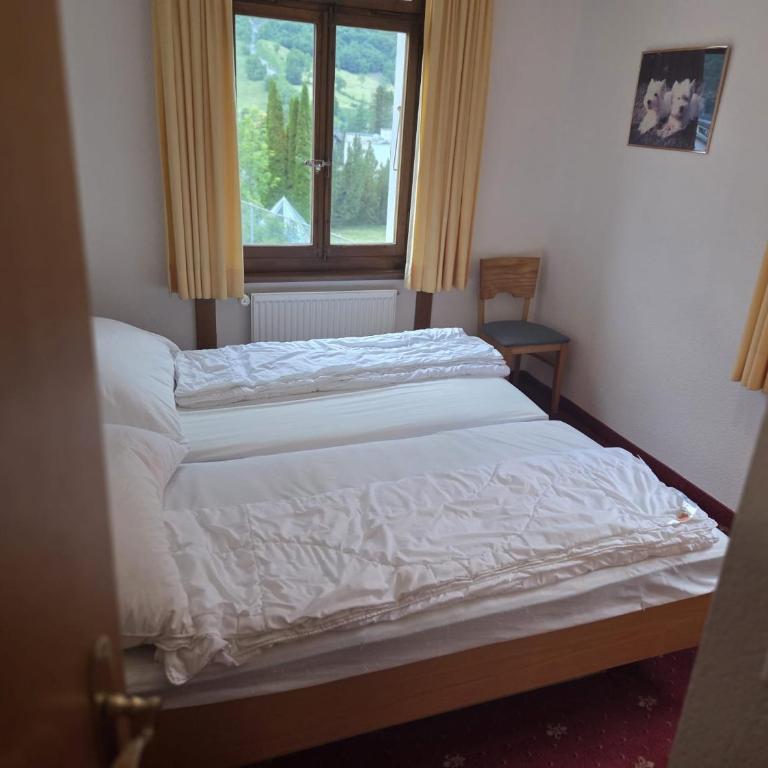 Schlossli-Le Petit Chateau - Apartment mit 2 Schlafzimmern und Balkon - 6