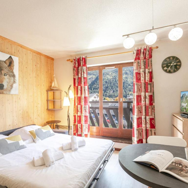 Studio charmant avec vue Mont-Blanc, Wifi et animaux acceptés - FR-1-343-221 - Estudio - 12
