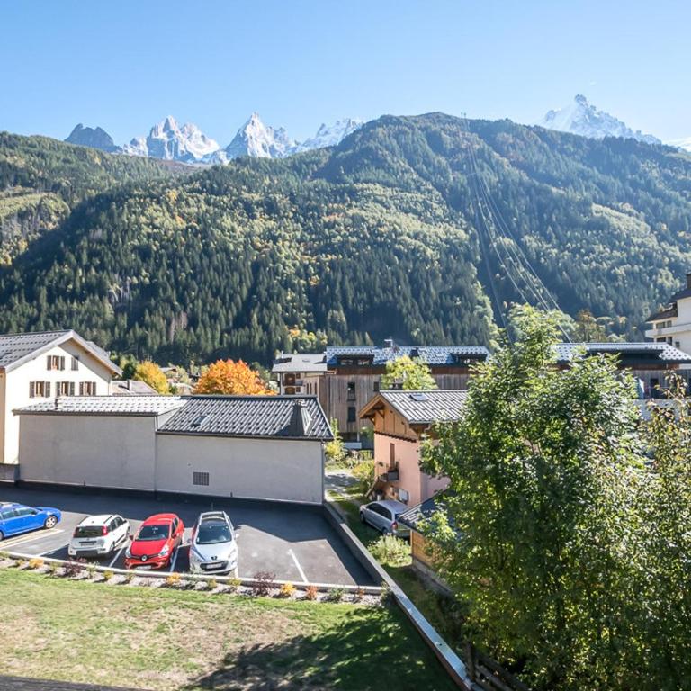 Studio charmant avec vue Mont-Blanc, Wifi et animaux acceptés - FR-1-343-221 - Estudio - 17