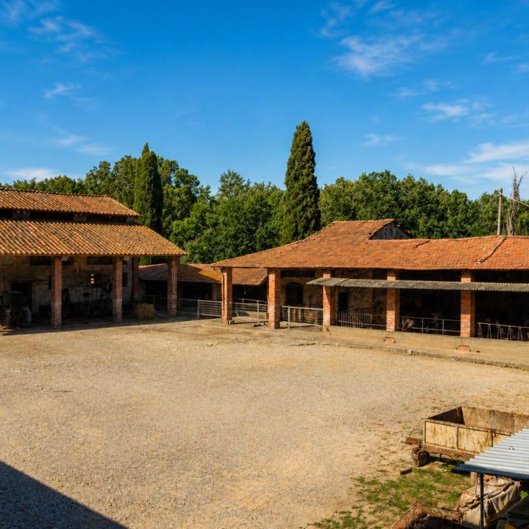Fattoria Agriturismo Bigongiari - Apartamento de 1 dormitorio con vistas al parque - 10