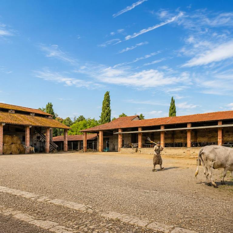 Fattoria Agriturismo Bigongiari - Apartamento de 2 dormitorios - 3