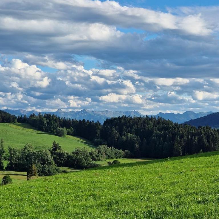 Blütenlodge Allgäu - FeWo Falken - Appartamento con 1 Camera da Letto - 25