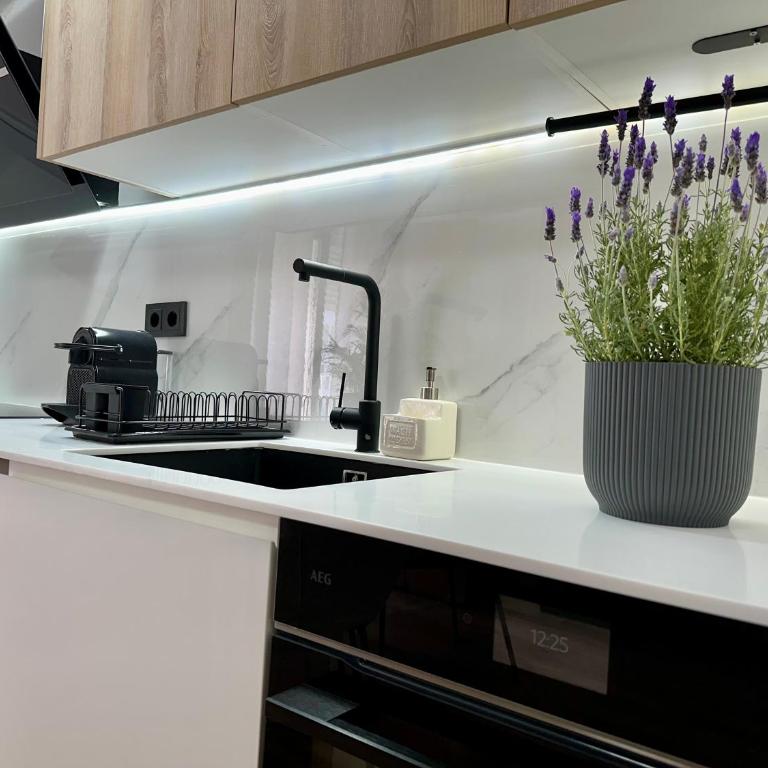 Apartamento moderno en el corazón de Ciutat Vella - Appartement 1 Chambre - 1