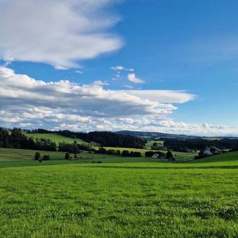 Blütenlodge Allgäu - FeWo Hochgrat - Apartment mit 1 Schlafzimmer - 23