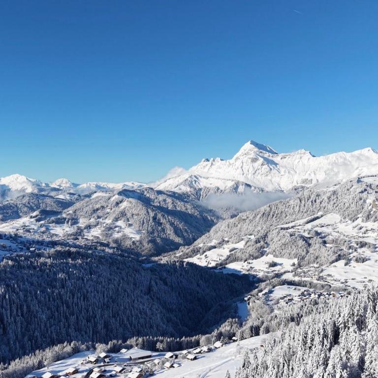 Appartement chaleureux, au pied des pistes, idéal pour 6-8 personnes avec terrasse - FR-1-505-94 - Appartement - 27