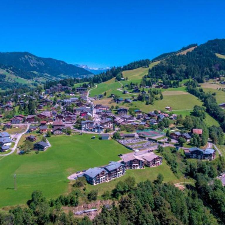 Appartement chaleureux, au pied des pistes, idéal pour 6-8 personnes avec terrasse - FR-1-505-94 - Appartement - 29