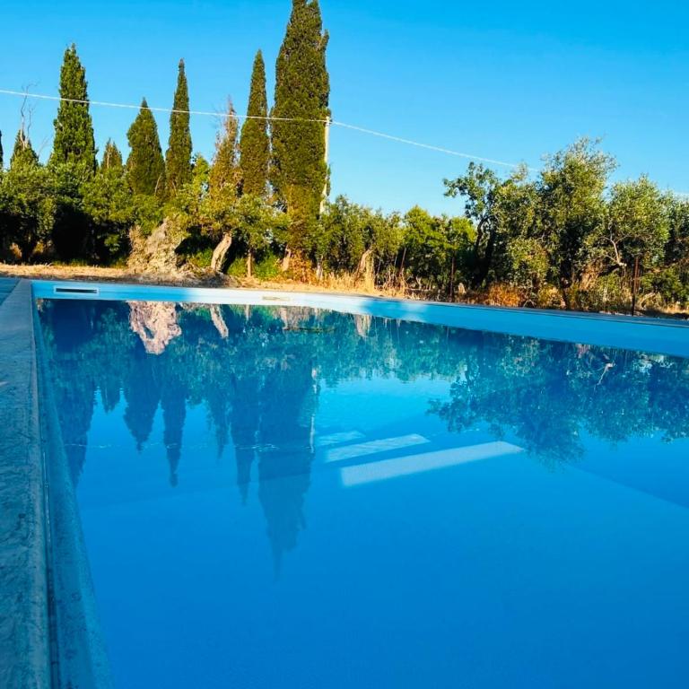Casa Vacanze Don Alfonso - Appartamento Classic - 20