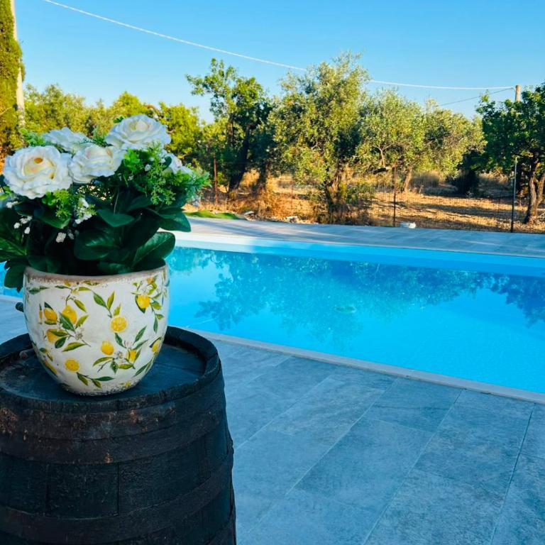 Casa Vacanze Don Alfonso - Appartamento Classic - 22