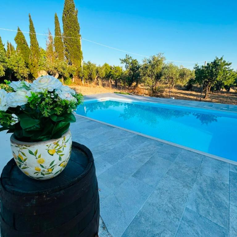 Casa Vacanze Don Alfonso - Appartamento Classic - 24