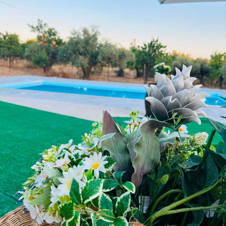 Casa Vacanze Don Alfonso - Appartamento Classic - 27