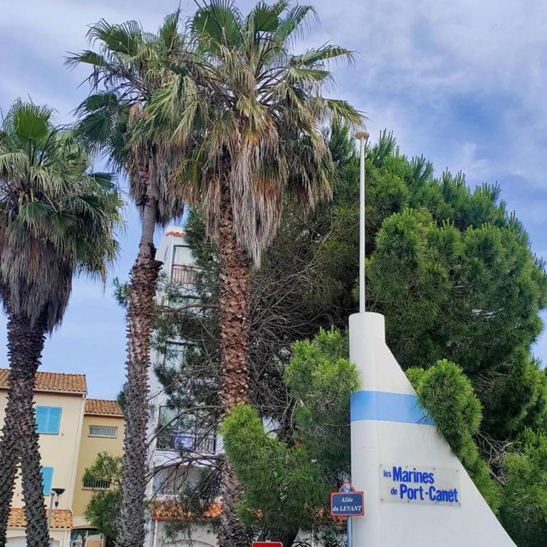 Deux-pièces 2* avec balcon et parking - Port Canet - FR-1-696-107 - Apartment - 11