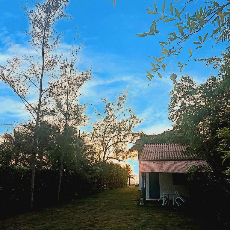 Portón Azul - One-Bedroom Apartment with Garden View - 2
