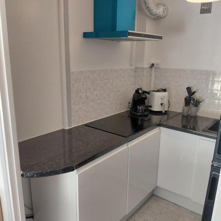 2 piece terrasse - Appartement 1 Chambre - 11
